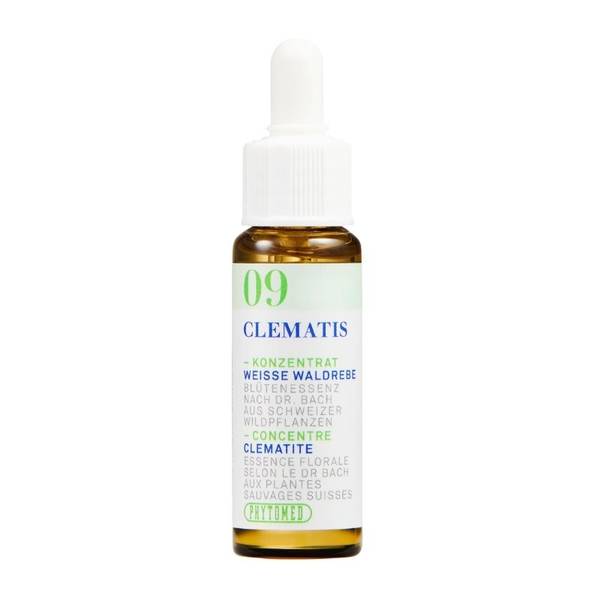 PHYTOMED BACHBLÜTEN NO9 WEISSE WALDREBE FL 10 ML