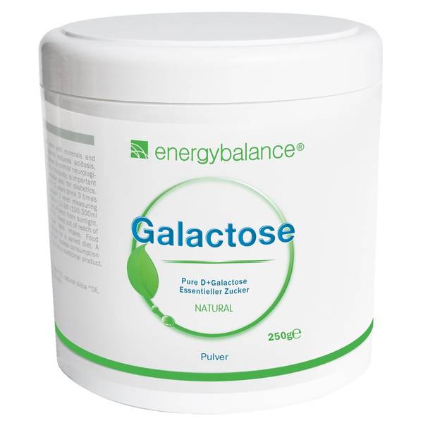 ENERGYBALANCE GALACTOSE PLV HOCHREIN DS 250 G