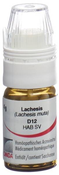 OMIDA LACHESIS GLOB D 12 M DOSIERHILFE 4 G