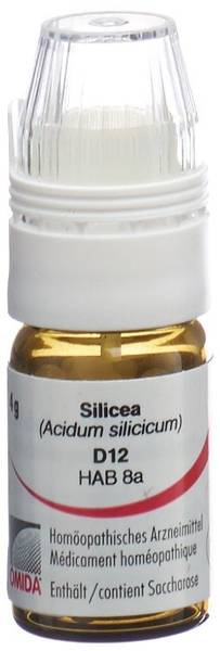 OMIDA SILICEA GLOB D 12 M DOSIERHILFE 4 G