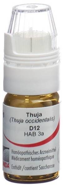 OMIDA THUJA GLOB D 12 M DOSIERHILFE 4 G