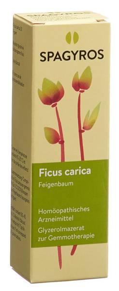 SPAGYROS GEMMO FICUS CARICA GLYC MAZ D 1 30 ML