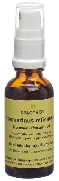 SPAGYROS GEMMO ROSMARINUS OFF GLYC MAZ D 1 30 ML