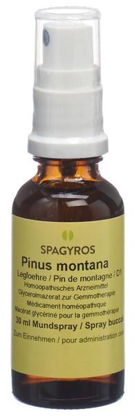 SPAGYROS GEMMO PINUS MONTANA GLYC MAZ D 1 30 ML