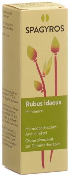 SPAGYROS GEMMO RUBUS IDAEUS GLYC MAZ D 1 30 ML