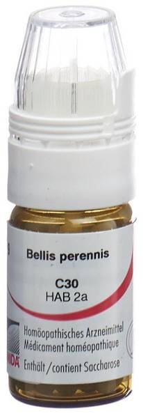 OMIDA BELLIS PERENNIS GLOB C 30 M DOSIERHILFE 4 G