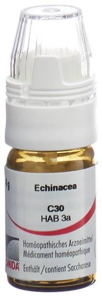 OMIDA ECHINACEA GLOB C 30 M DOSIERHILFE 4 G